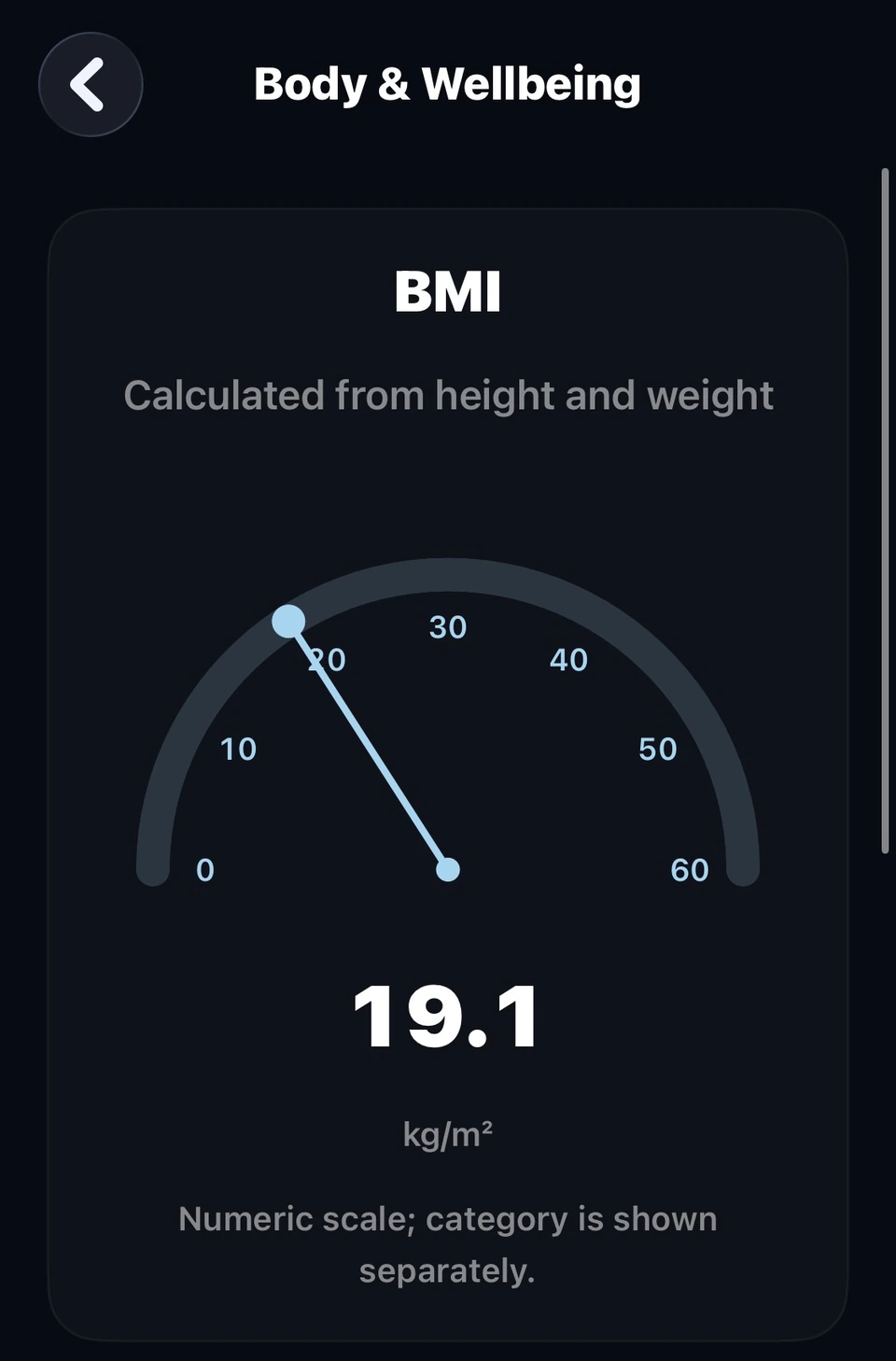 Body & Wellbeing in Dark appearance, showing a fictional BMI example. Separate from academic Ridge prediction.