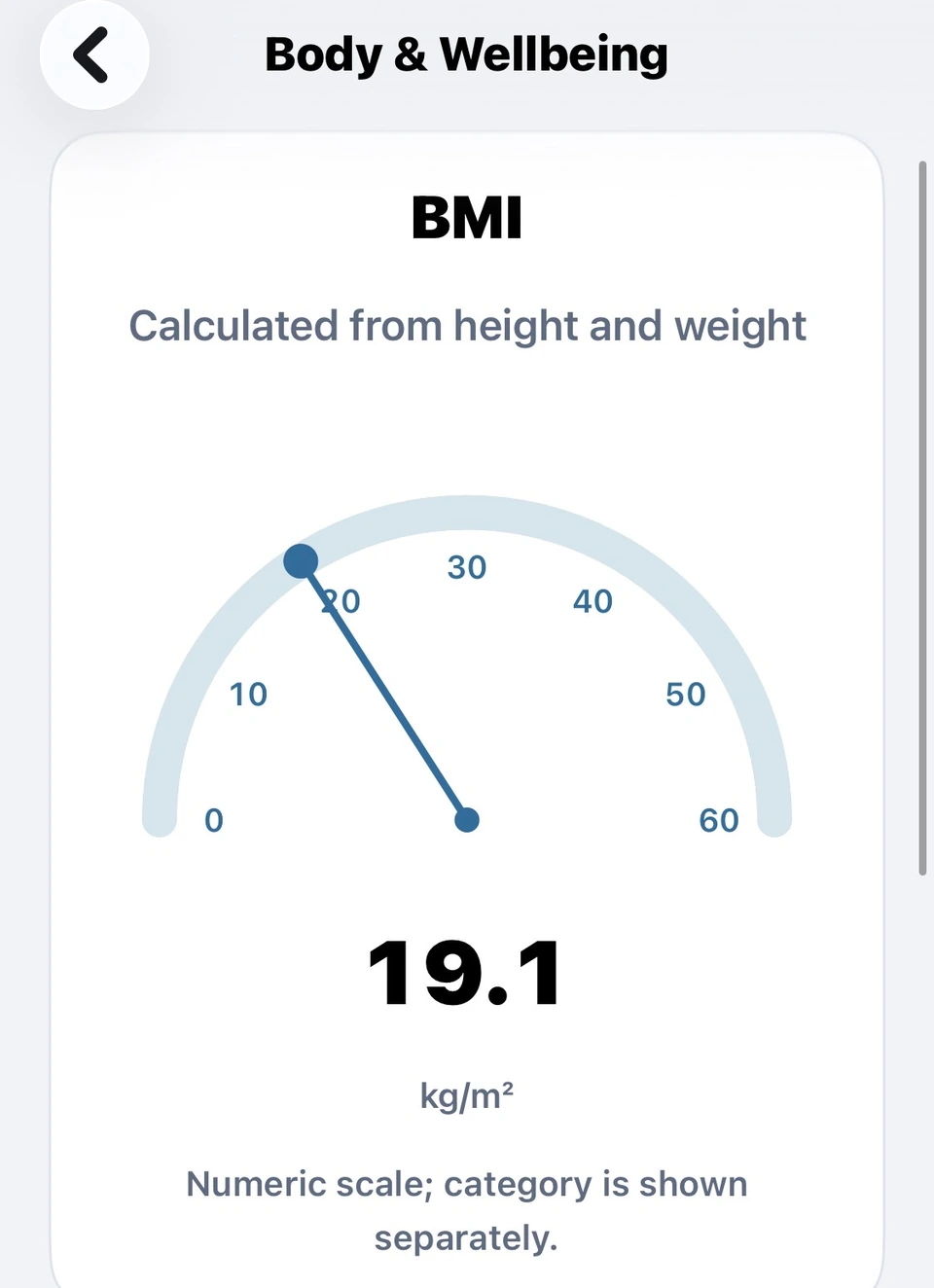 Body & Wellbeing in Light appearance, showing a fictional BMI example. Separate from academic Ridge prediction.